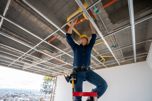 Best Local Plumber Services  in Crowley, TX